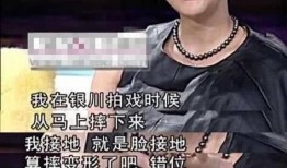 丸子爆料李林峰视频全集,揭秘娱乐圈背后的真相